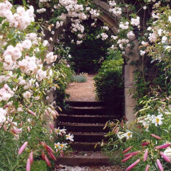 arche de roses dans la pierre du jardin