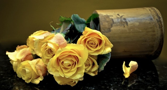 צבע ורדים משמעות צהוב