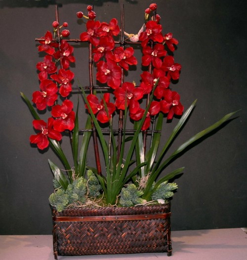 rode orchideeën houten vierkante pot decoratie idee