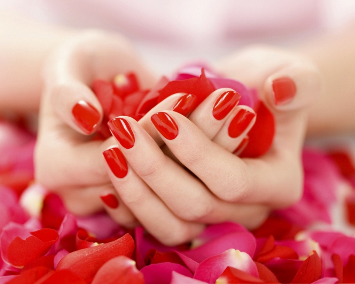 rode rozen romantiek bloemblaadjes