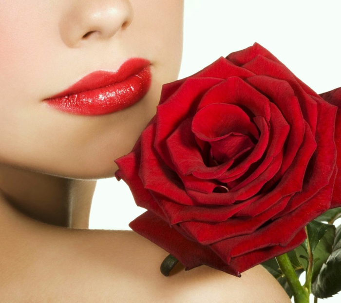 κόκκινο τριαντάφυλλα ομορφιά θηλυκό