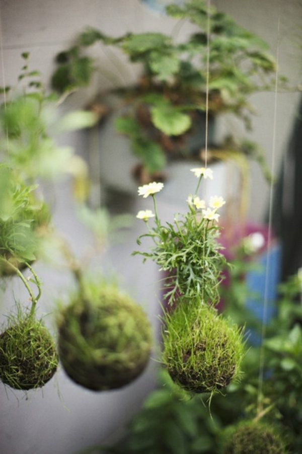 belles idées de jardin suspendus photos de jardin décorations de jardin