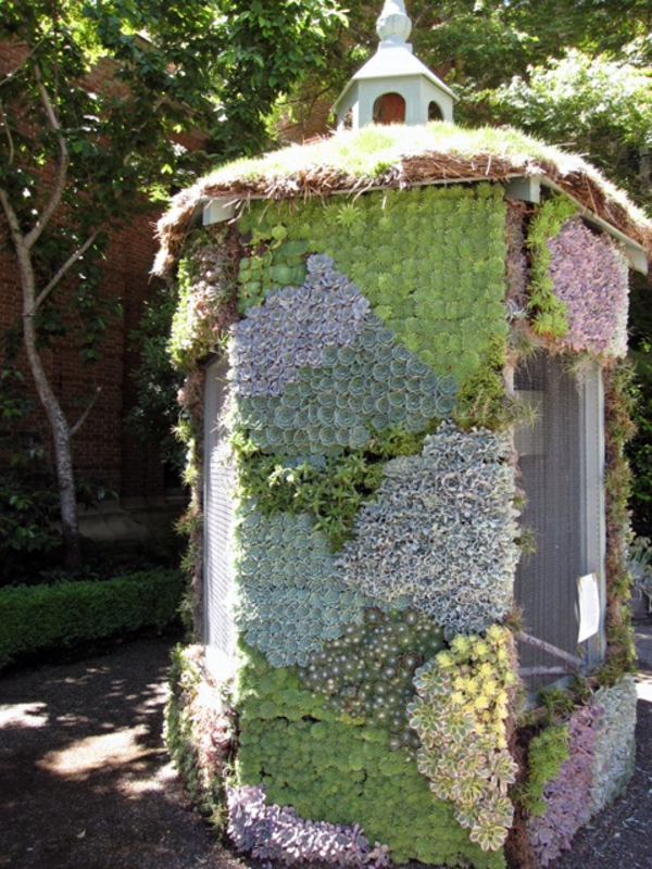 Idées de jardin photos de jardin décorations de jardin maison de jardin succulente