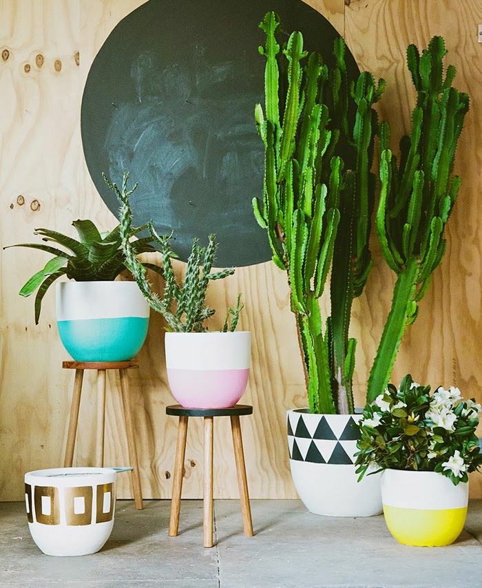 mooie kamerplanten kleurrijke potten creatieve decoratie-ideeën