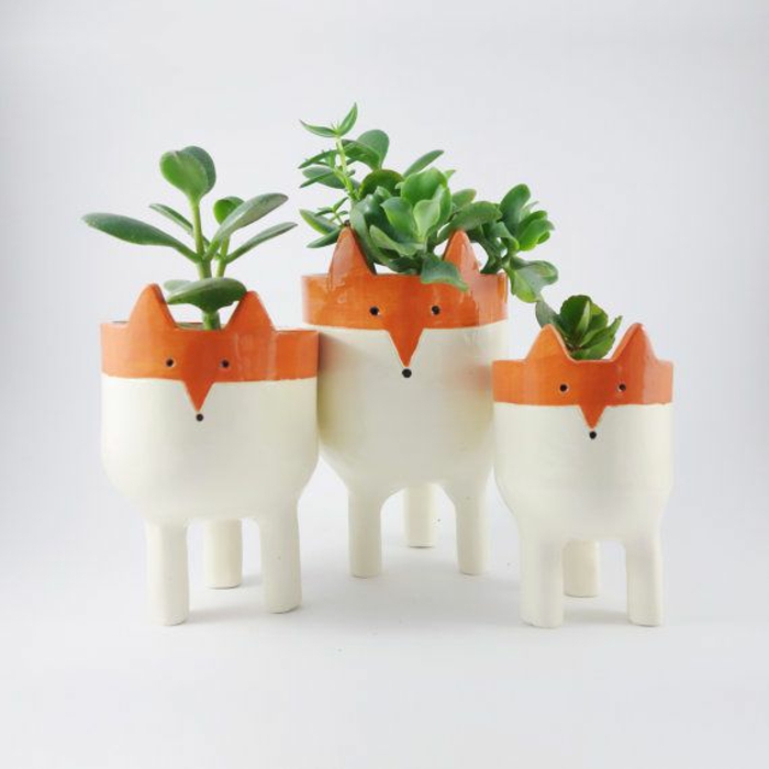 belles plantes d'intérieur intéressantes pots de renard en pot