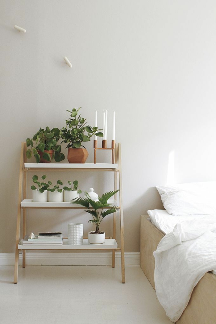 النباتات الداخلية الجميلة سهلة الرعاية الرفوف غرفة نوم الرف