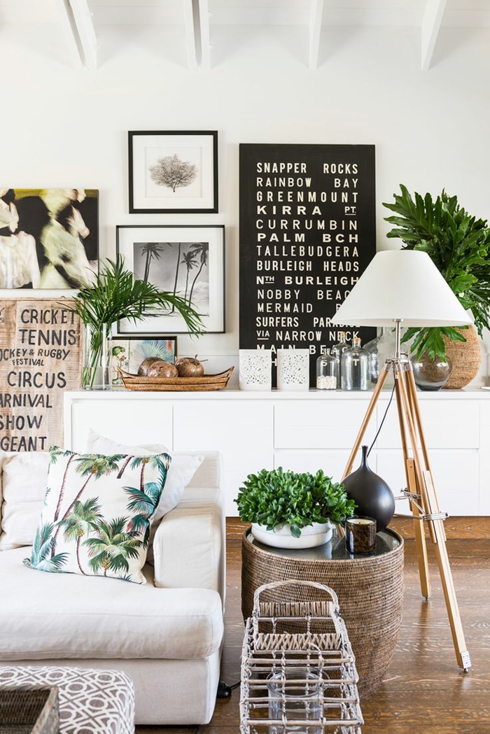 美丽的室内植物容易护理绿色客厅装饰的想法