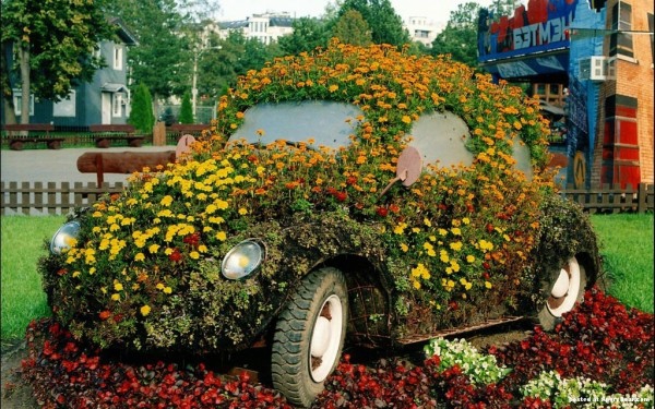 kietas augalas ir sodo idėjos senas automobilis