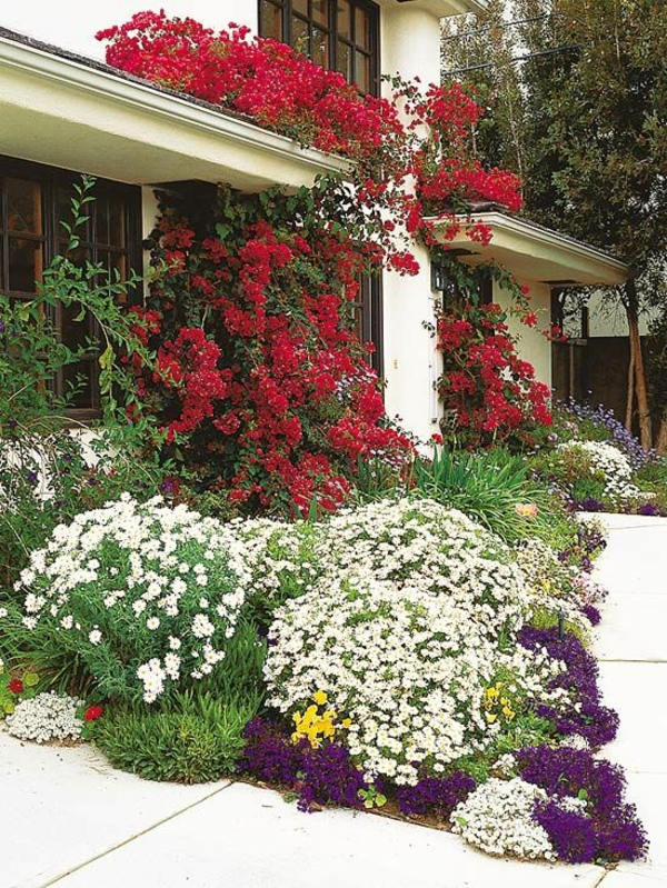 όμορφο συνδυασμό χρωμάτων για λουλούδια μπροστά από το σπίτι