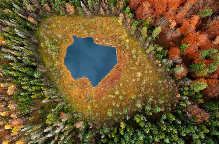 美丽的风景油漆树湖冬季秋天