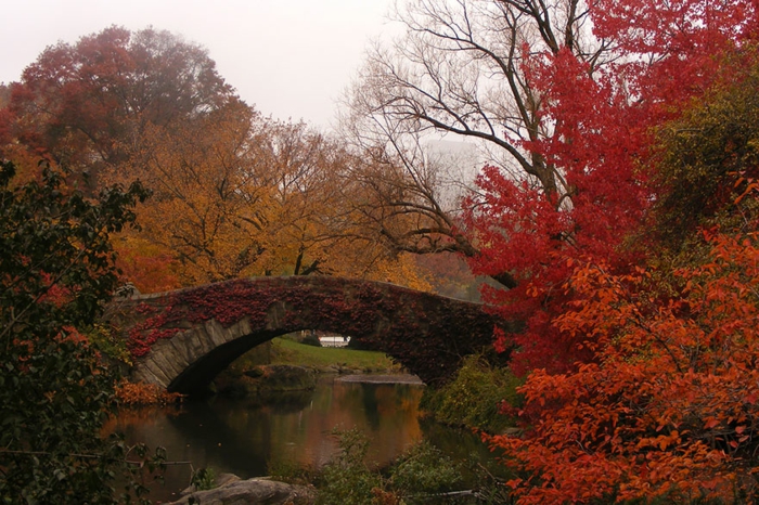 美丽的风景冬天秋天红色黄色桥梁河水平面