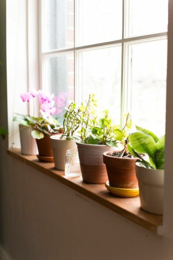 Mooi huis versieren planten vensterbank