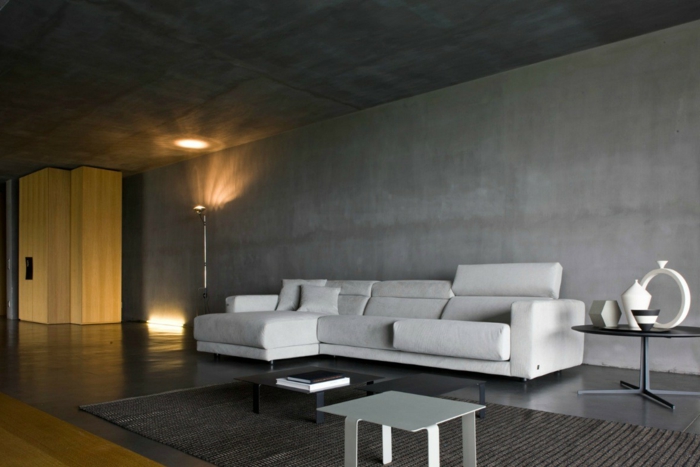 kaunis elinideoita olohuone tilava betoni näyttää seinä koristelu matto valot