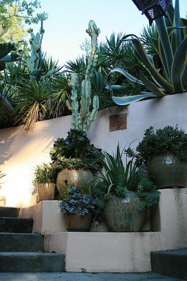 belle clôture de jardin en béton cactus