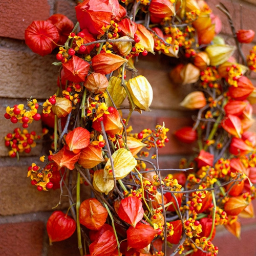 chic coroană decorațiuni de fructe de padure în roșu și galben