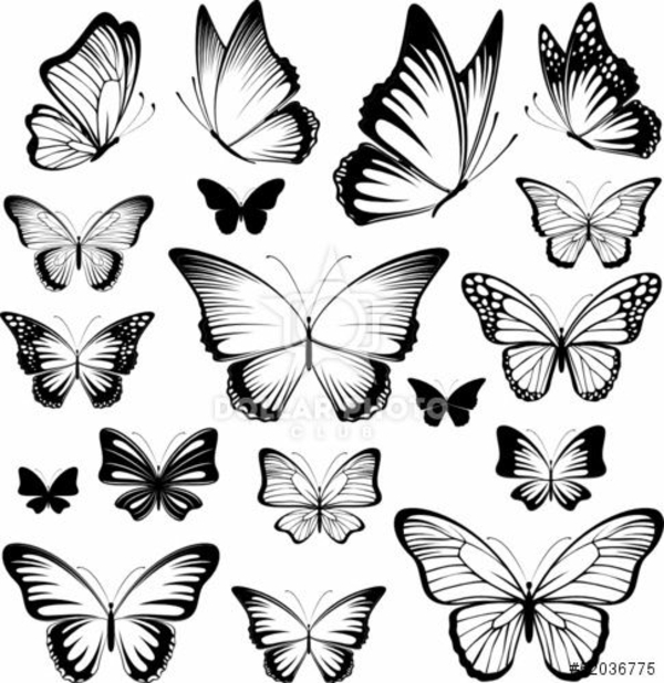 纹身蝴蝶模板设计