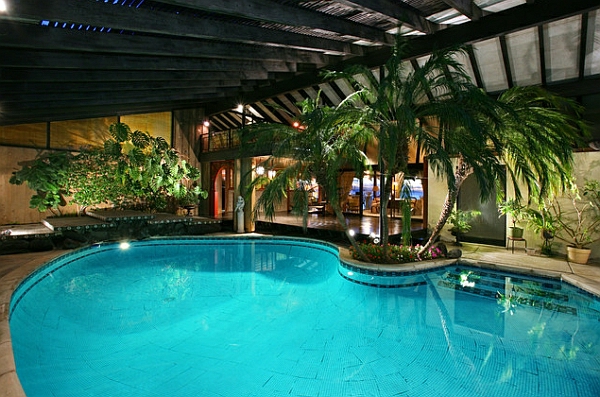 室外游泳池椭圆形的棕榈树
