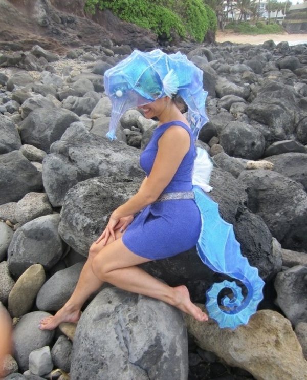 domácí kostýmy seahorses diy projekty cool