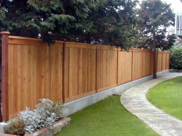 隐私篱笆园艺观念花园篱笆木材