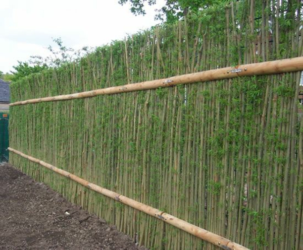 Озеленяване ограда градинарски идеи градина ограда растения