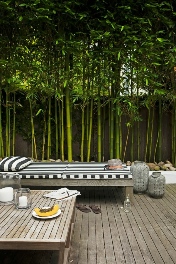 gardul de intimitate idei de grădinărit gard viu gard bambus