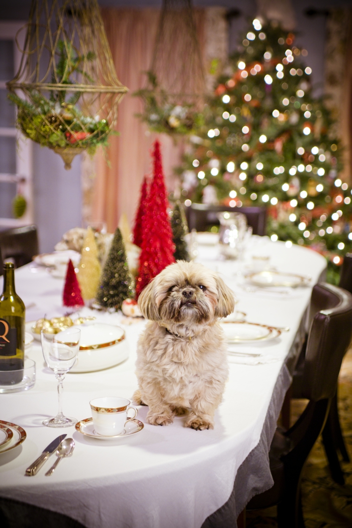 decoration new year's eve party silvesterer decoration table decoration new year's eve dog