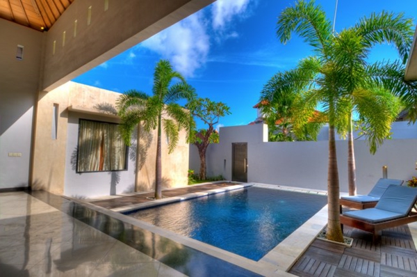small courtyard pool palms landscape