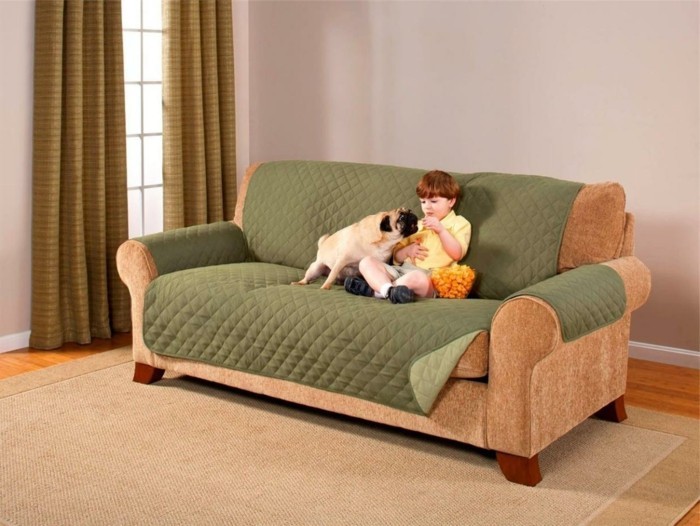 sofa dekke grønne kjæledyr barn beskyttelse