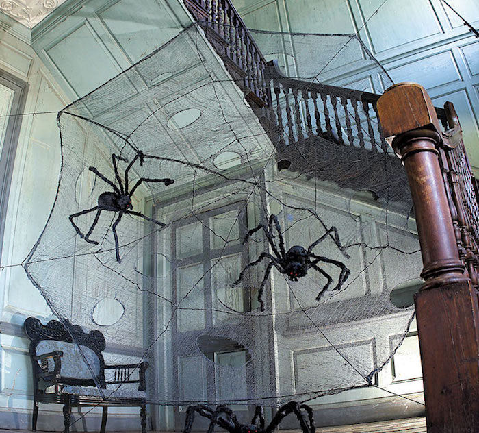 edderkopper og spindelvæv gør sig til halloween