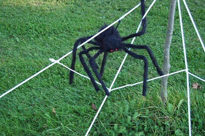 Telarañas se hacen con araña artificial