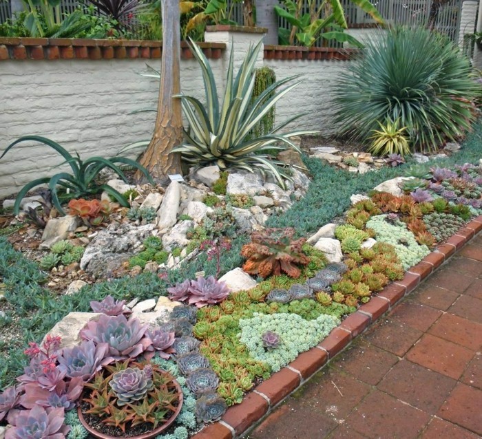 岩石花园植物在岩石花园后院塑造多肉植物