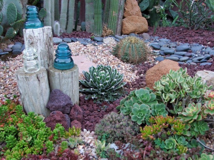 subtropische tuin zelfvoorzienende succulente cactusblokken natuurlijk hout