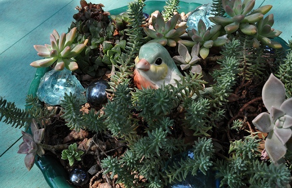 succulenter arrangement planter dekoration keramiske fugl