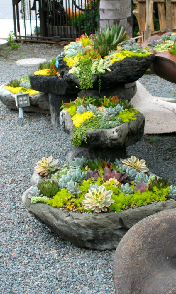 jardin succulent créer gravier pierres naturelles idées de jardin