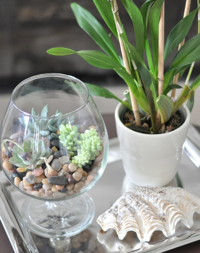 succulentes en verre terrarium idées de bricolage