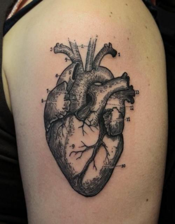 τατουάζ μοτίβα καρδιά ανθρώπινη τατουάζ ανατομία