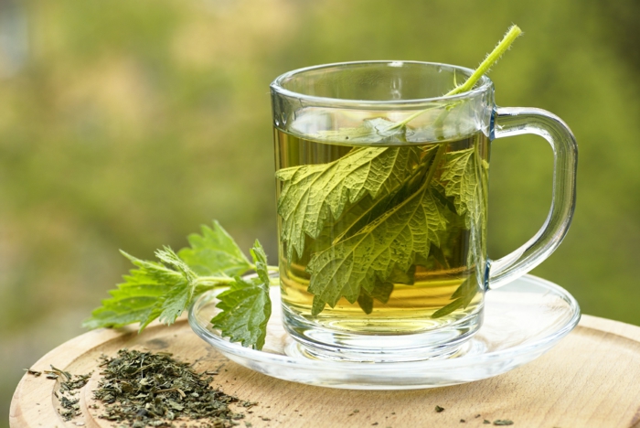 茶健康荨麻茶准备健康食品