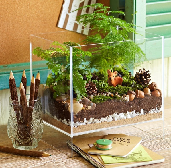 terrarium planter glass fartøy rektangulært skrivebord dekorere