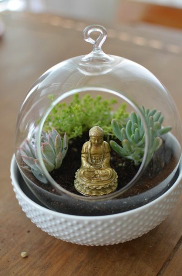 terrarium planter glass fartøy rundt buddha statue
