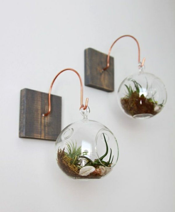 terrarium planter glass krukker runde hengende veggdekorasjoner ideer