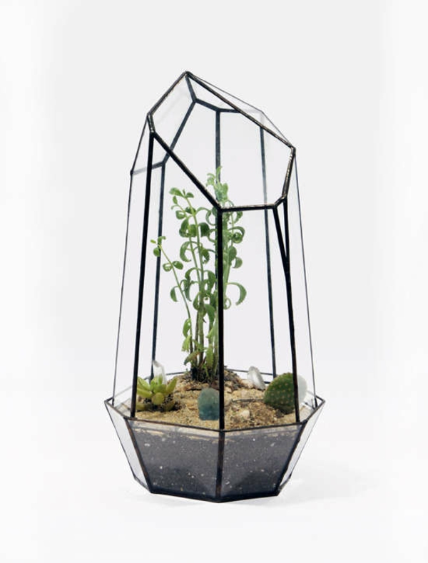 水晶球植物玻璃容器本身使室内植物易于清洁