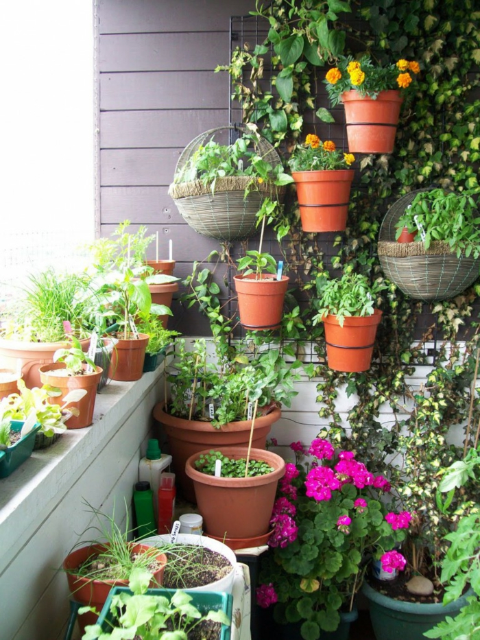 terassi istutus parvekekalusteet ja parveke kasvit pystysuoraan puutarhan suunnittelu