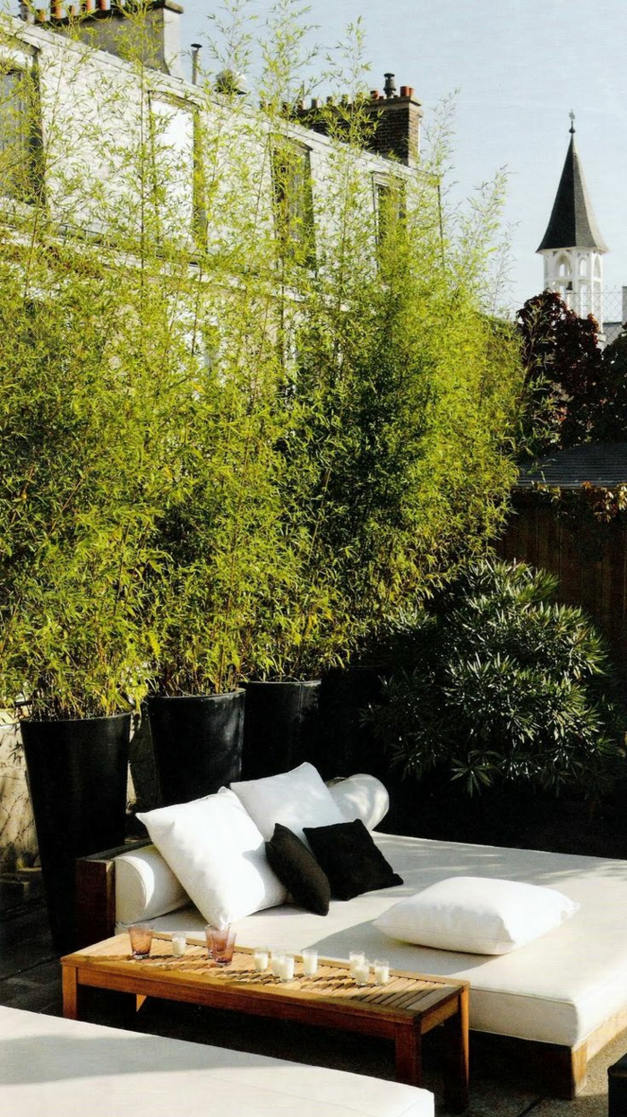 patio istutus huonekalut ja parveke kasvit elävä yksityisyyttä