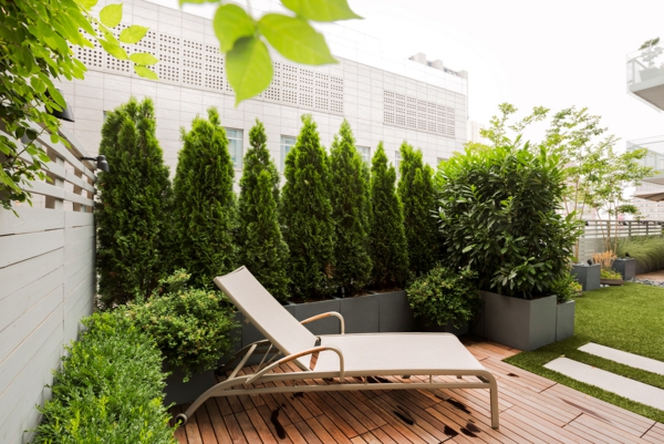 terrasse syn beskyttelse tre veranda eviggrønne planter som et syn