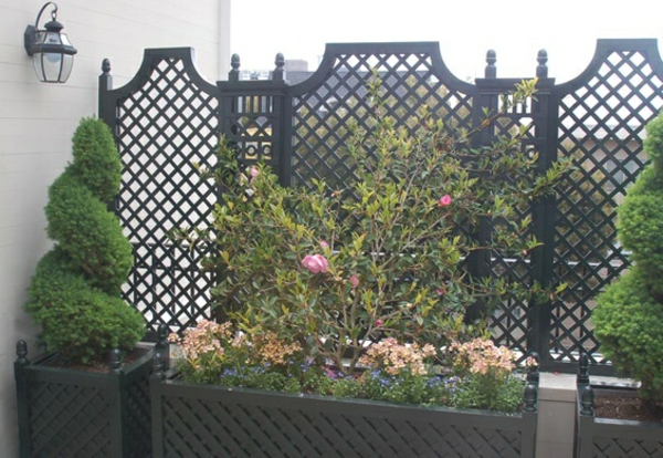 מרפסת מראה מראה מסך עץ חי גדר צמחים