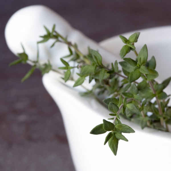 thyme care effect essential oil