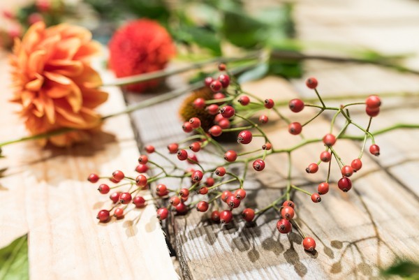 make a table decoration from autumnal flowers