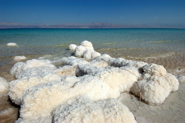 cristaux de sel de sel de la mer morte