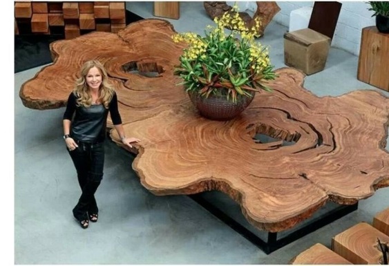 Driftwood stuen bord selv bygge cutout