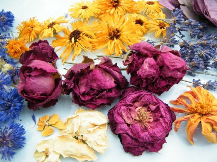 sušené květiny kreativní dekorace nápady pro domácí